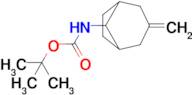 tert-Butyl N-{3-methylidenebicyclo[3.2.1]octan-8-yl}carbamate