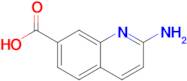 2-Aminoquinoline-7-carboxylic acid