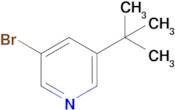 3-Bromo-5-(tert-butyl)pyridine