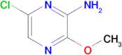 6-Chloro-3-methoxypyrazin-2-amine