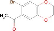 1-(7-Bromo-2,3-dihydrobenzo[b][1,4]dioxin-6-yl)ethanone