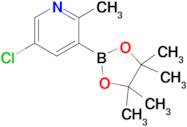 2-Methyl-5-chloropyridine-3-boronic acid pinacol ester