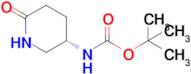 (S)-tert-Butyl (6-oxopiperidin-3-yl)carbamate