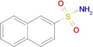 Naphthalene-2-sulfonamide