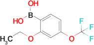 2-Ethoxy-4-(trifluoromethoxy)phenylboronic acid