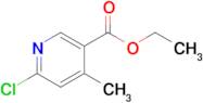 Ethyl 6-chloro-4-methylnicotinate