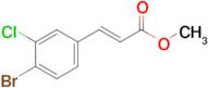 (E)-Methyl 3-(4-bromo-3-chlorophenyl)acrylate