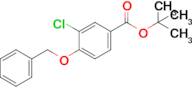 tert-Butyl 4-(benzyloxy)-3-chlorobenzoate