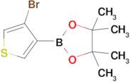 2-(4-Bromo-3-thienyl)-4,4,5,5-tetramethyl-1,3,2-dioxaborolane