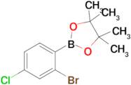 2-(2-Bromo-4-chlorophenyl)-4,4,5,5-tetramethyl-1,3,2-dioxaborolane