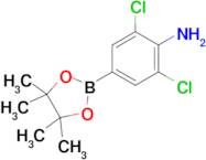 2,6-Dichloro-4-(4,4,5,5-tetramethyl-1,3,2-dioxaborolan-2-yl)benzenamine