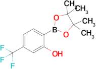 2-(4,4,5,5-Tetramethyl-1,3,2-dioxaborolan-2-yl)-5-(trifluoromethyl)phenol