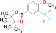 2-[4-Methoxy-3-(trifluoromethyl)phenyl]-4,4,5,5-tetramethyl-1,3,2-dioxaborolane