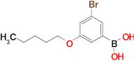 5-Bromo-3-pentyloxyphenylboronic acid