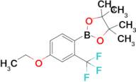 2-(4-Ethoxy-2-(trifluoromethyl)phenyl)-4,4,5,5-tetramethyl-1,3,2-dioxaborolane