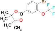 2-(4-Bromo-3-(trifluoromethoxy)phenyl)-4,4,5,5-tetramethyl-1,3,2-dioxaborolane