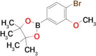 2-(4-Bromo-3-methoxyphenyl)-4,4,5,5-tetramethyl-1,3,2-dioxaborolane