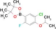 5-Chloro-2-fluoro-4-isopropoxyphenylboronic acid pinacol ester