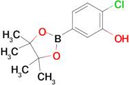 4-Chloro-3-hydroxyphenylboronic acid pinacol ester