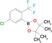 5-Chloro-2-(trifluoromethyl)phenylboronic acid pinacol ester