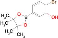 4-Bromo-3-hydroxyphenylboronic acid pinacol ester