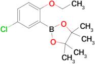 5-Chloro-2-ethoxyphenylboronic acid pinacol ester