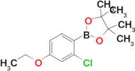 2-Chloro-4-ethoxyphenylboronic acid pinacol ester