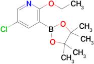 5-Chloro-2-ethoxypyridine-3-boronic acid pinacol ester