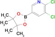 2,3-Dichloropyridine-5-boronic acid pinacol ester