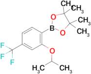 2-Isopropoxy-4-(trifluoromethyl)phenylboronic acid pinacol ester