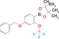 4-Benzyloxy-2-(trifluoromethoxy)phenylboronic acid pinacol ester