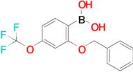 2-Benzyloxy-4-(trifluoromethoxy)phenylboronic acid