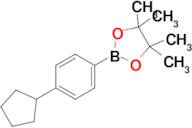 4-Cyclopentylphenylboronic acid pinacol ester