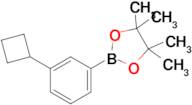 3-Cyclobutylphenylboronic acid pinacol ester