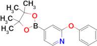 2-Phenoxypyridine-4-boronic acid pinacol ester