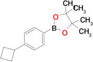 (4-Cyclobutylphenyl)boronic acid pinacol ester