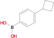 (4-Cyclobutylphenyl)boronic acid