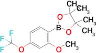 2-Methoxy-4-(trifluoromethoxy)phenylboronic acid pinacol ester