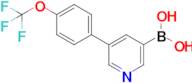 3-[4-(Trifluoromethoxy)phenyl]-pyridine-5-boronic acid