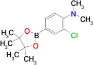 3-Chloro-4-(N,N-dimethylamino)phenylboronic acid pinacol ester