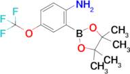 4-(Trifluoromethoxy)-2-(4,4,5,5-tetramethyl-1,3,2-dioxaborolan-2-yl)aniline