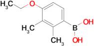 4-Ethoxy-2,3-dimethylphenylboronic acid