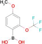 4-Methoxy-2-(trifluoromethoxy)phenylboronic acid
