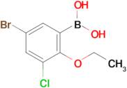 5-Bromo-3-chloro-2-ethoxyphenylboronic acid