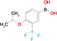 4-Isopropoxy-3-(trifluoromethyl)phenylboronic acid