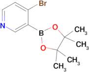 4-Bromopyridine-3-boronic acid pinacol ester