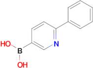 6-Phenylpyridine-3-boronic acid