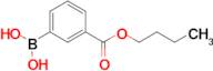 3-Butoxycarbonylphenylboronic acid