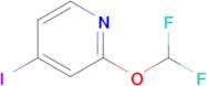 2-(Difluoromethoxy)-4-iodopyridine