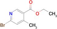 Ethyl 6-bromo-4-methylnicotinate